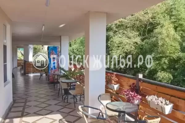 Гостиница «Гнездо Белой совы», Гагра