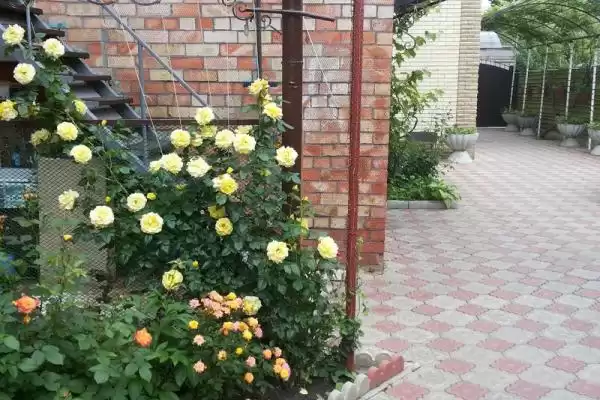 Частный сектор «Дом под ключ»