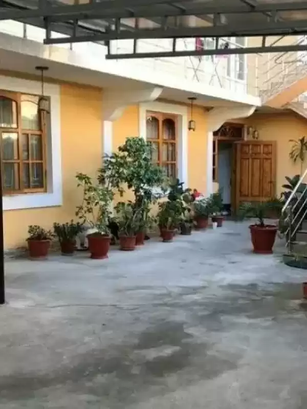 Гостевой дом «Кенгуру»