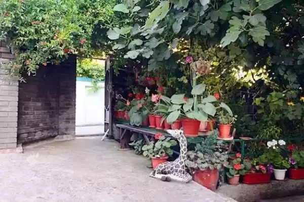 Гостевой дом «Маринапарт»