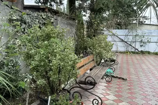 Гостевой дом «Мечта»