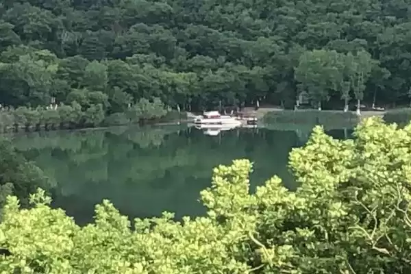 Частный сектор «Дом под ключ Между озером и морем», Краснодарский край, Абрау-Дюрсо, Петра Косенко, д. 91