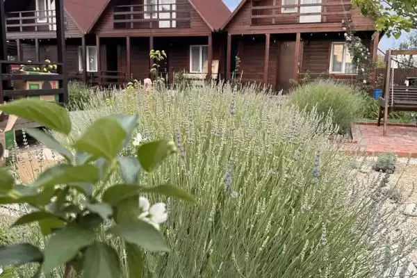 Частный сектор «Комплекс коттеджей Villa La Vika»