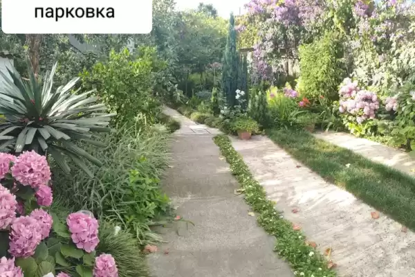 Частный сектор «Домик Роза на Маяке»