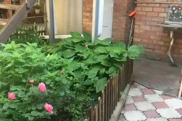 Гостевой дом «У моря»
