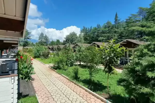 Частный сектор «Eco House Pitiunt»