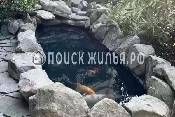 «Эдельвейс», Дедеркой