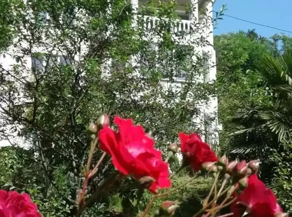 Гостевой дом «Port Maria-Sochi»