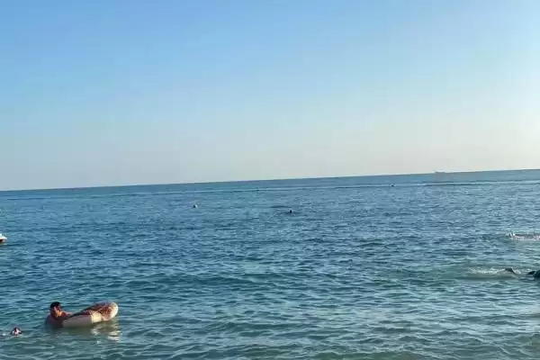 Гостевой дом «На лесной»