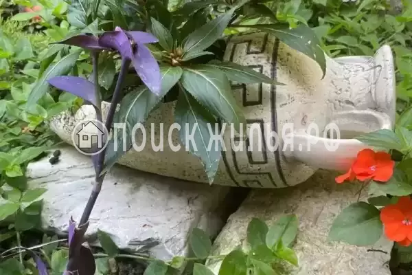 Частный сектор «Тихое местечко», Дедеркой Частный сектор «Тихое местечко», Дедеркой