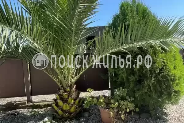 Гостевой дом «Фортуна», Алахадзы Гостевой дом «Фортуна», Алахадзы