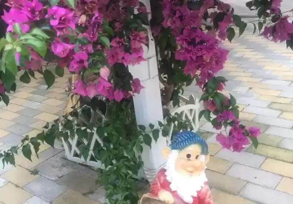 Гостевой дом «Ламэр»