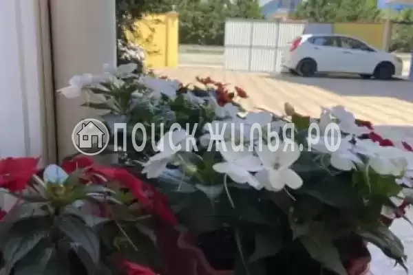 Частный сектор «Прибой», Ольгинка Частный сектор «Прибой», Ольгинка
