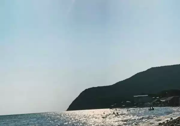 Гостевой дом «Лес»