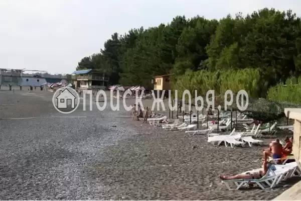 Гостевой дом «Мускат», Пицунда
