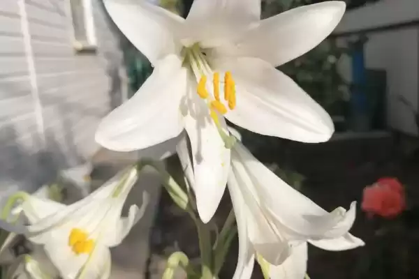Частный сектор «Дом под ключ на Приморской»