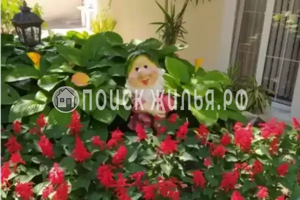 Частный сектор «Домашний уют», Коктебель