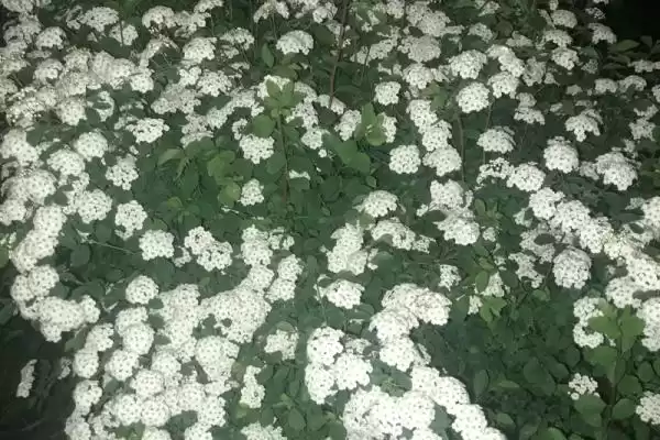 Гостевой дом «Алена»