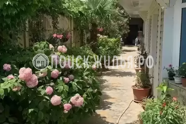 «Единство», Лазаревское