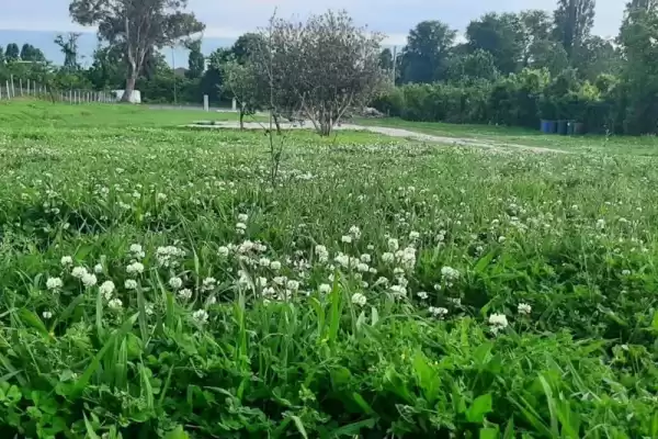 База отдыха «Мандарин»