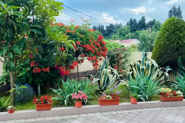 Гостевой дом «Уютный»