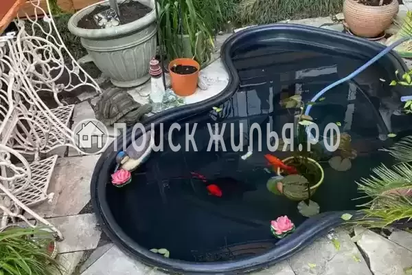 «Марго», Лазаревское «Марго», Лазаревское