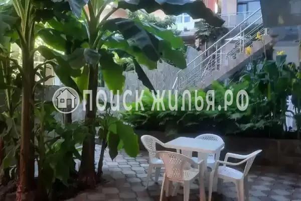 «Пальма», Лазаревское «Пальма», Лазаревское