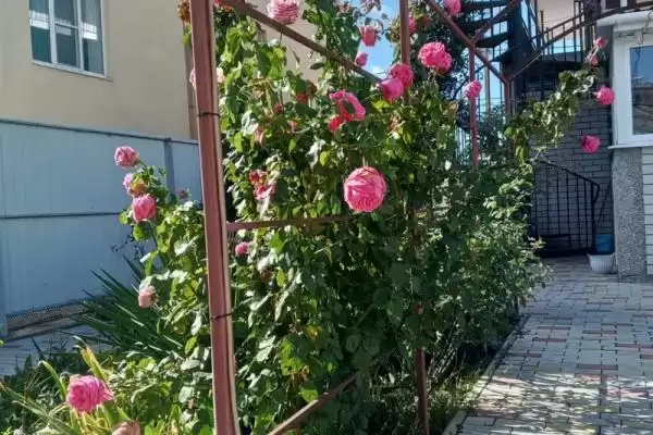 Гостевой дом «Белогорье»