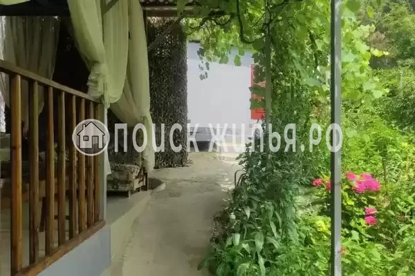 «У кедра», Совет-Квадже