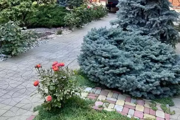 Гостевой дом «Аритэль»