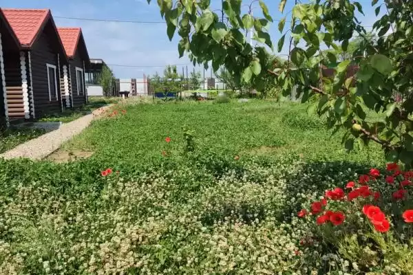 База отдыха «Кедровая усадьба»