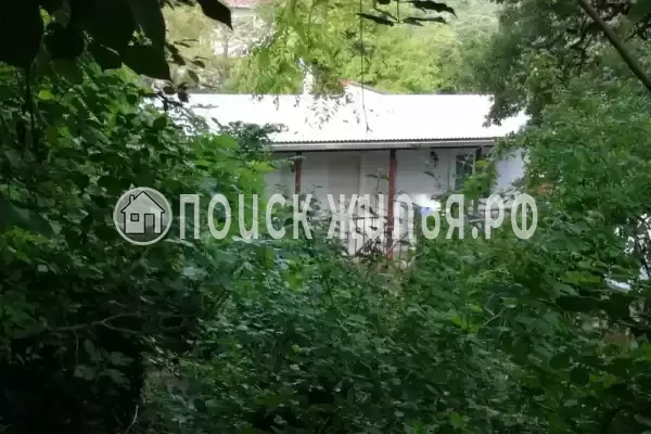 «Акация», Бетта