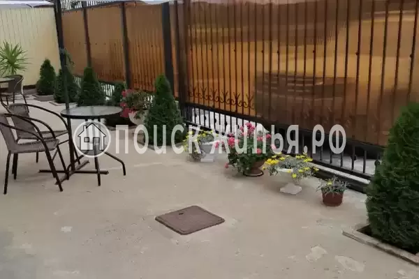 «Олимпик плюс», Лазаревское