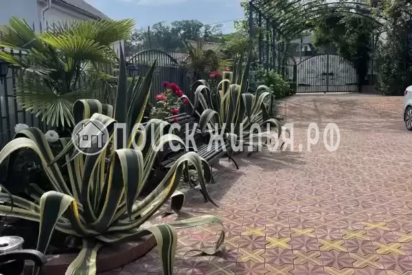 «Горная орхидея», Лоо