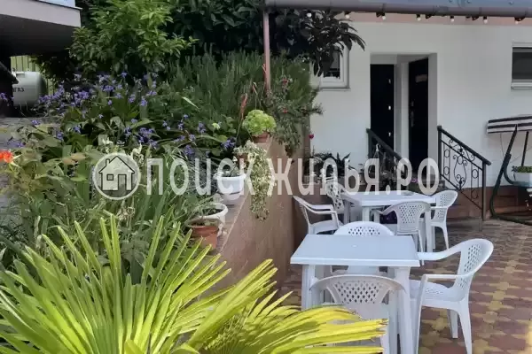 «Горная орхидея», Лоо