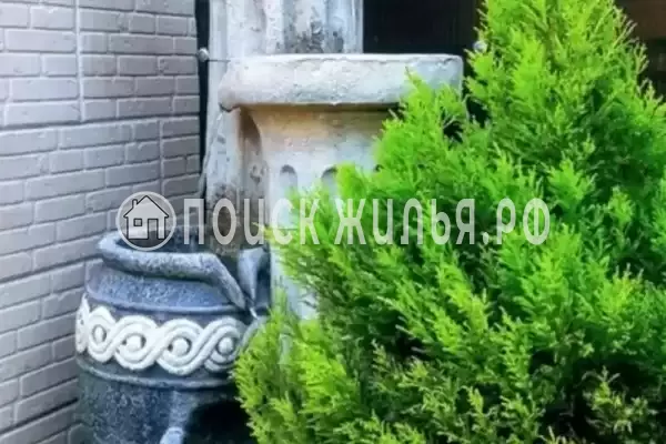 «Планета», Лазаревское «Планета», Лазаревское