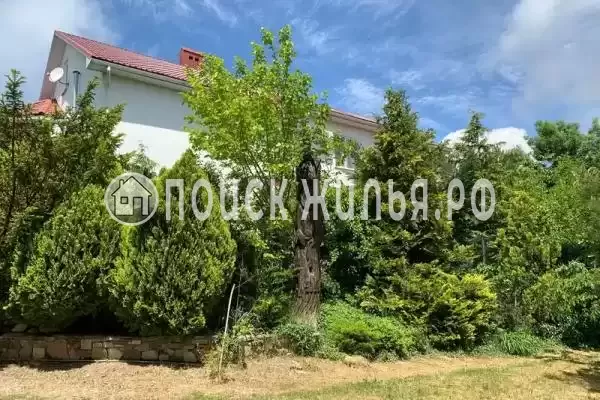 «Рассвет», Криница «Рассвет», Криница