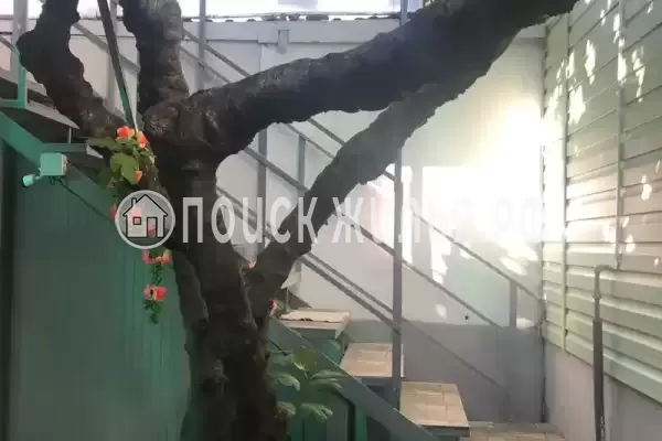 «На Греческой», Макопсе «На Греческой», Макопсе