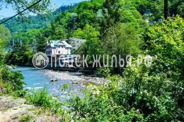 «На Самшитовой», Хоста