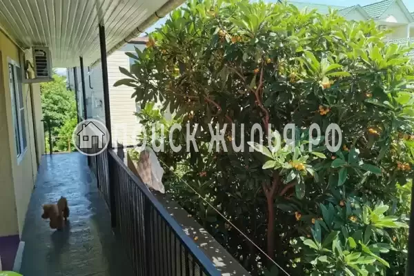 Частный сектор «Алекс», Адлер