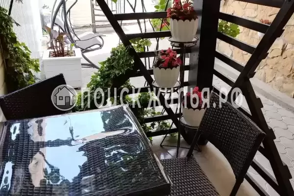 «Виола», Благовещенская «Виола», Благовещенская