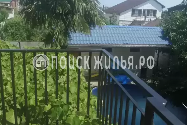 «Пальмира», Вишневка «Пальмира», Вишневка