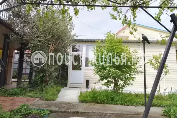 «Пальмира», Вишневка «Пальмира», Вишневка