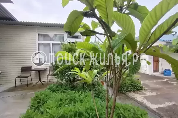 «Пальмира», Вишневка «Пальмира», Вишневка