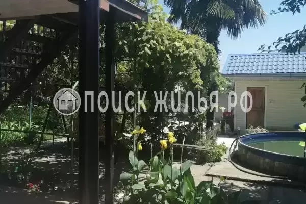 «Пальмира», Вишневка «Пальмира», Вишневка