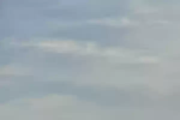 Гостевой дом «Южная магнолия»