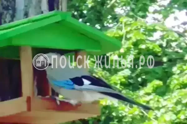 «Монт», Геленджик