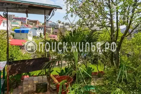 «Анастасия», Адлер «Анастасия», Адлер