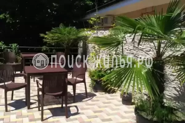 «Старт», Адлер