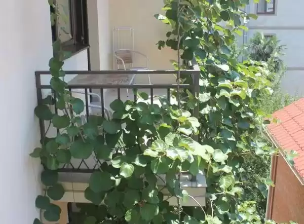 Гостиница «Европа»